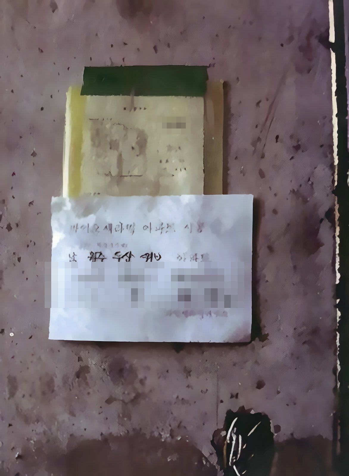 인식표 부착